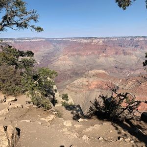 Meet your Posher, Katrina